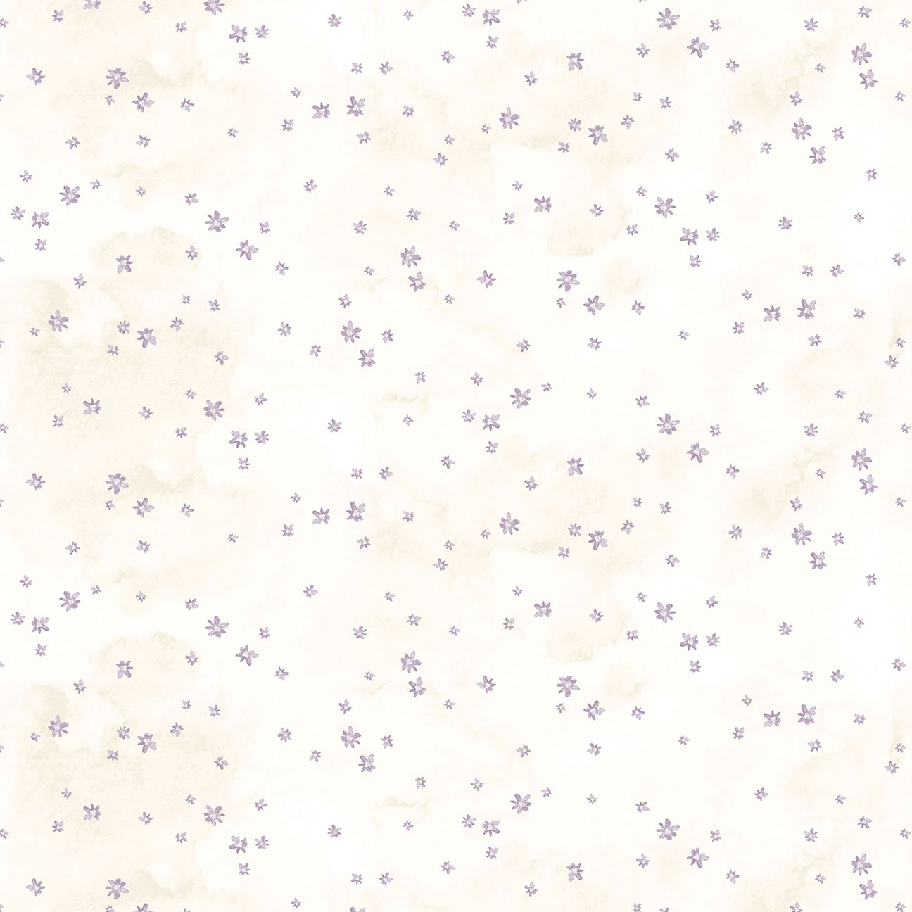 Soft Spoken - Asterisk Flower Heather