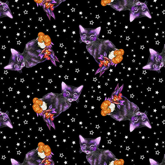 Hallowishes - Cats