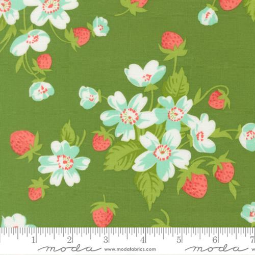 Bloomsberry - Green