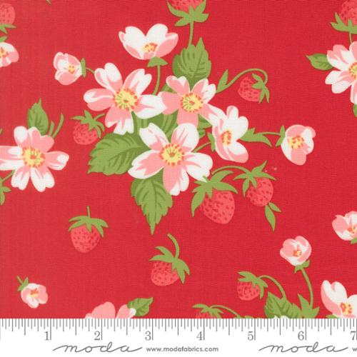Bloomsberry - Red