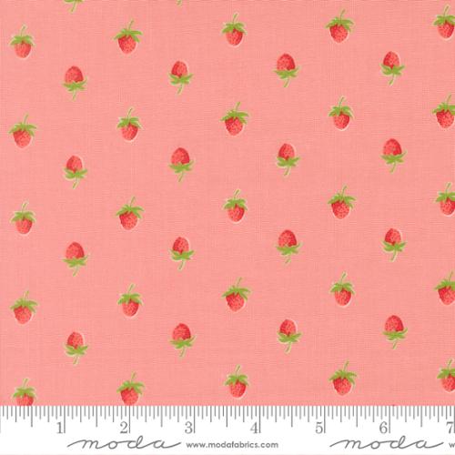 Bloomsberry - Blush