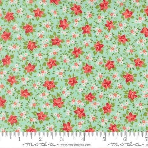 Bloomsberry - Aqua