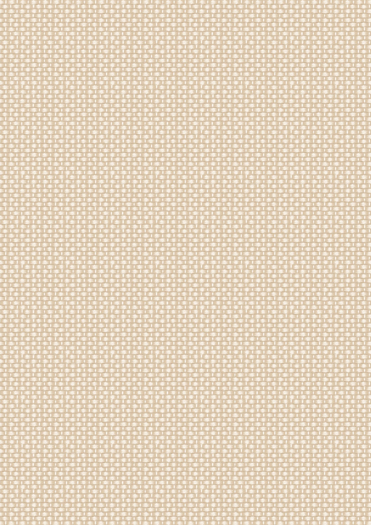Teddy Bears Picnic - Cream Basket Weave
