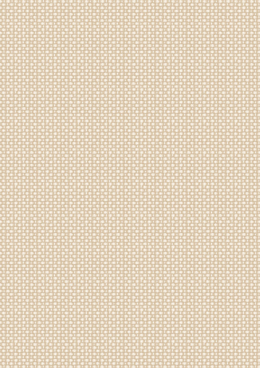Teddy Bears Picnic - Cream Basket Weave