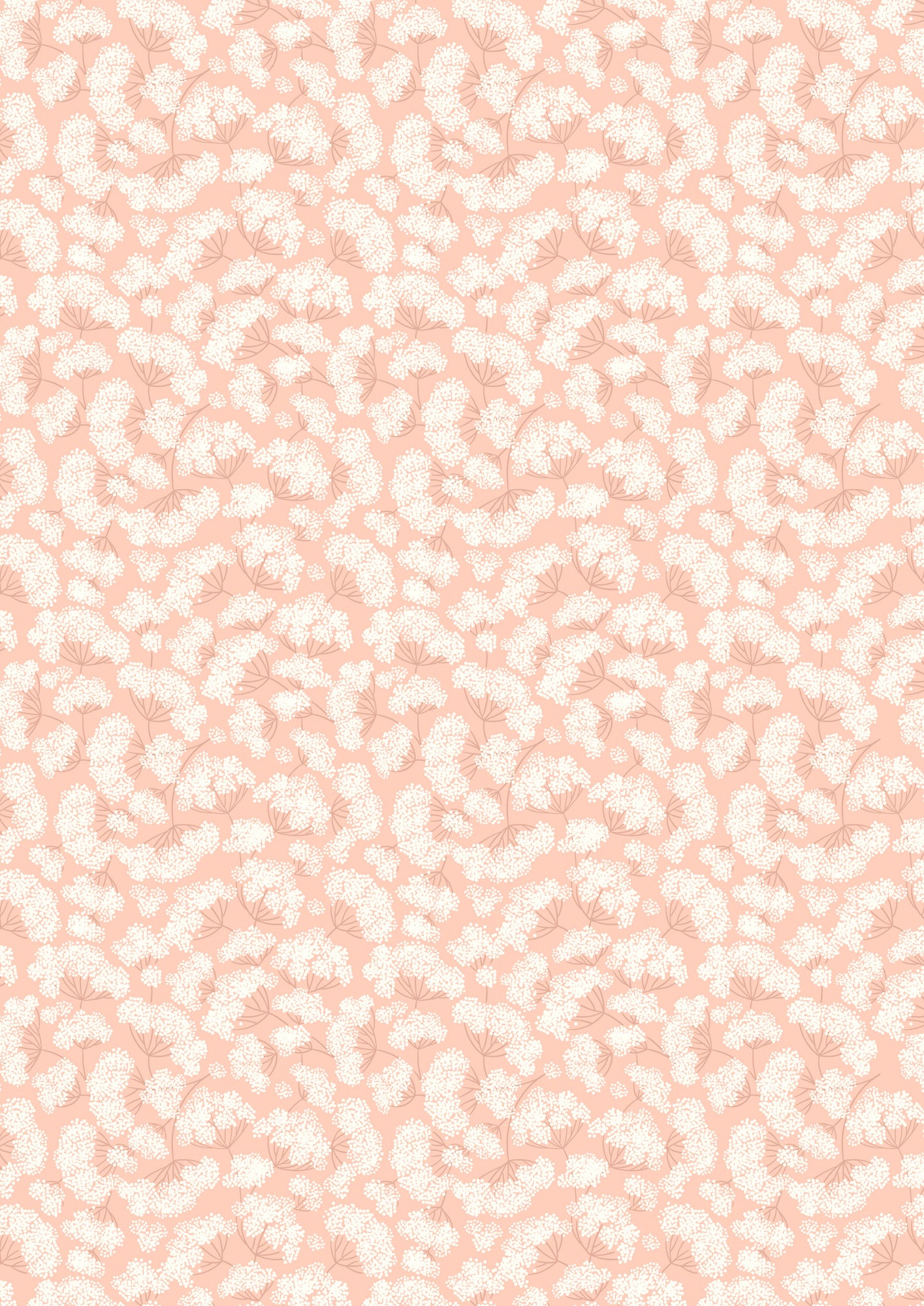 Honey Sweet - Cow Parsley On Peach Blush