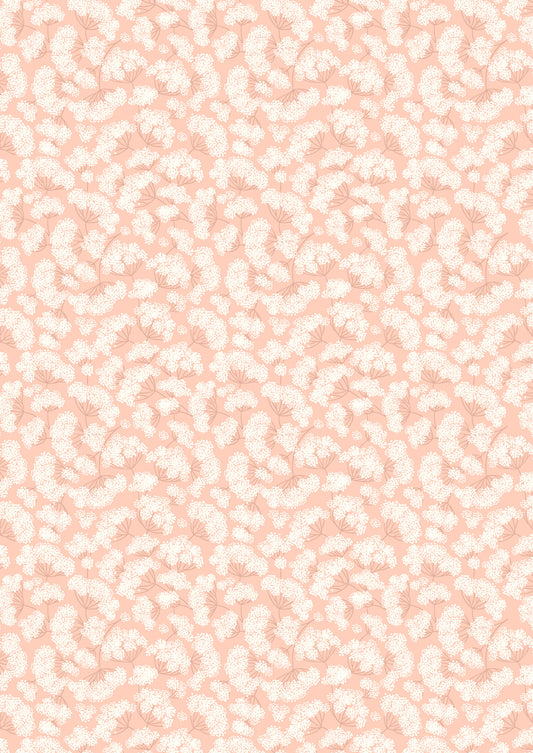 Honey Sweet - Cow Parsley On Peach Blush