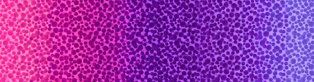 Bumbleberries - Pinky Purple Ombre