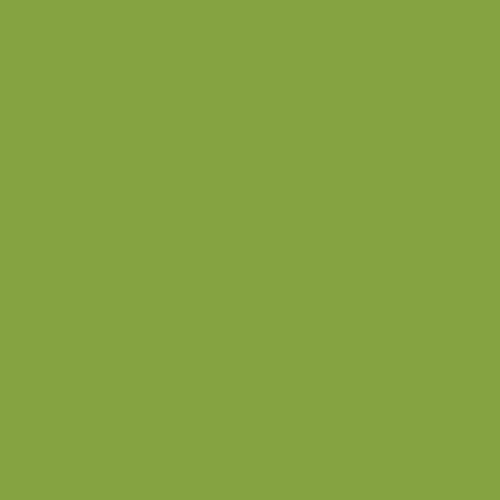 Tula Pink - Solids - Matcha