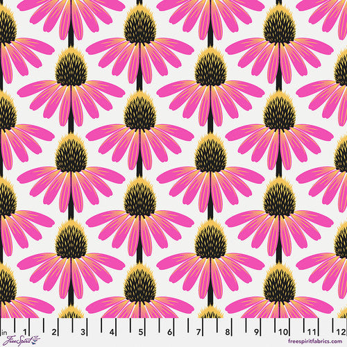 Love Always - Echinacea - True