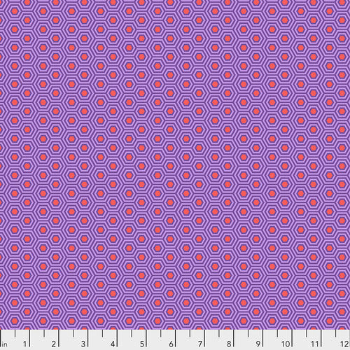 Tula Pink - Hexy Half Yard Bundle 1