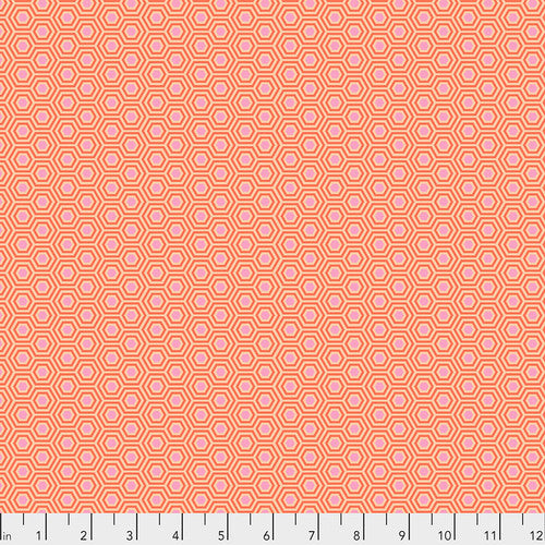 Tula Pink - Hexy Half Yard Bundle 3
