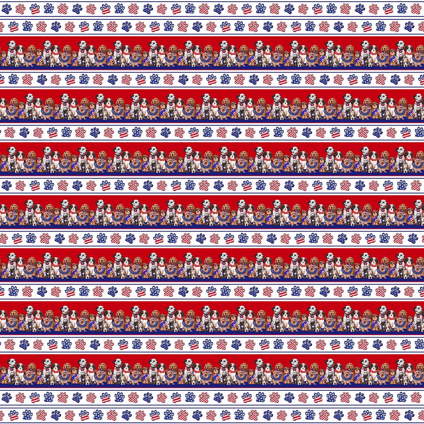 Multi Border Stripe