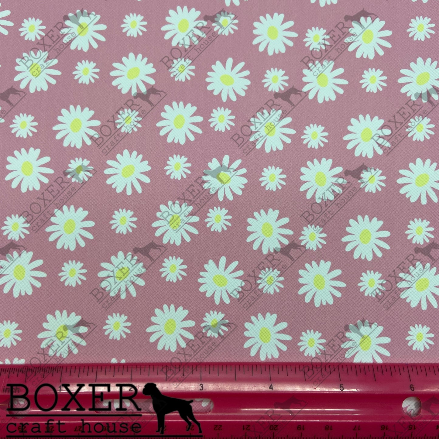 White Daisies Pink Background