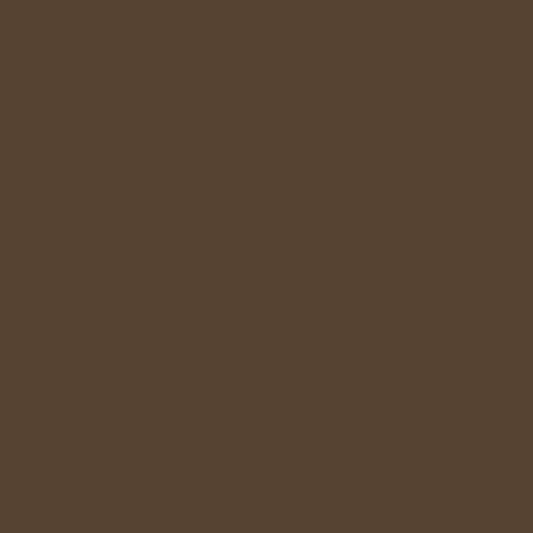 Andover Century Solids - Chocolate