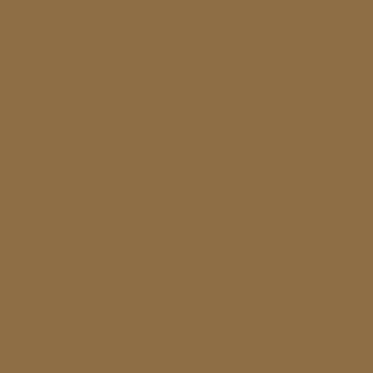 Andover Century Solids - Cinnamon
