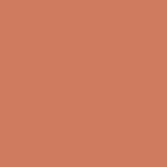 Andover Century Solids - Clay