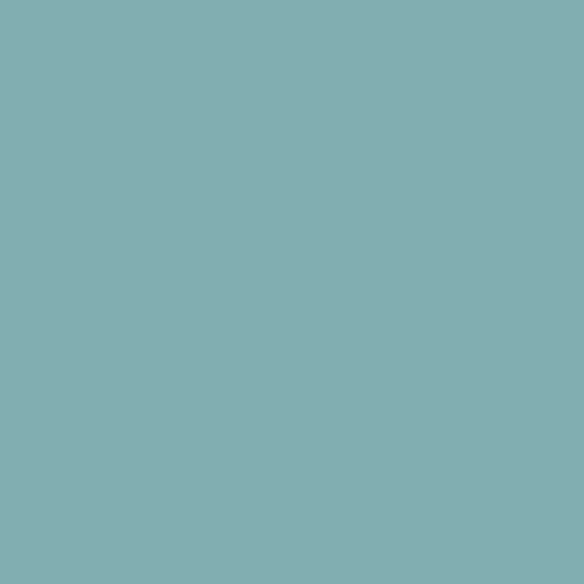 Andover Century Solids - Faded