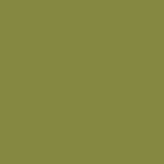Andover Century Solids - Jalapeno