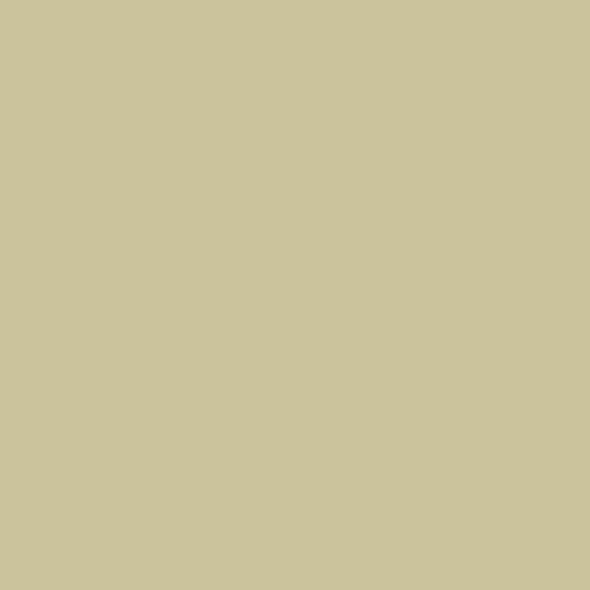 Andover Century Solids - Oatmeal