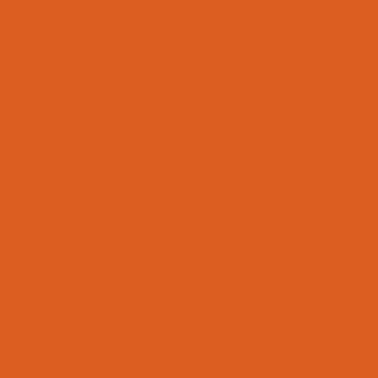 Andover Century Solids - Paprika