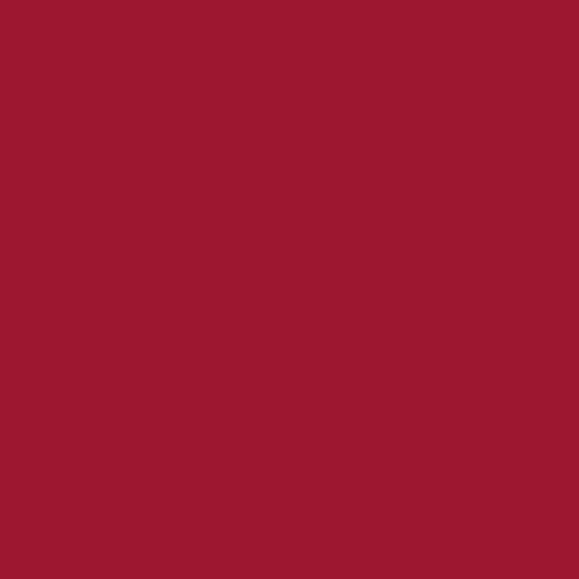 Andover Century Solids - Redwood