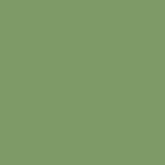 Andover Century Solids - Sage