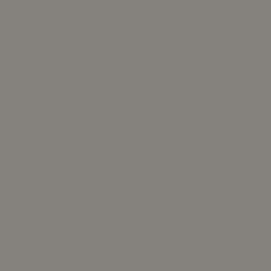 Andover Century Solids - Truffle