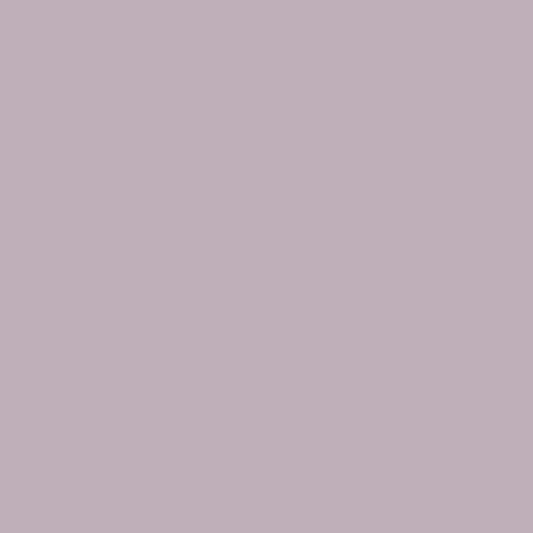 Andover Century Solids - Whisper
