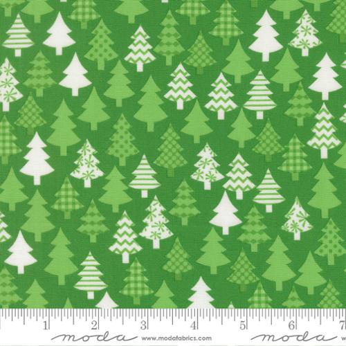 Snow Time - Evergreen
