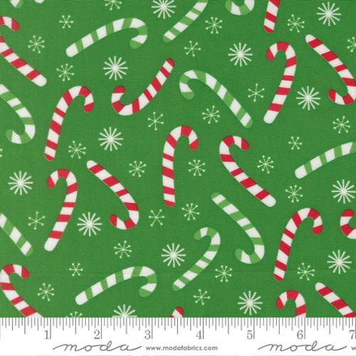 Snow Time - Evergreen