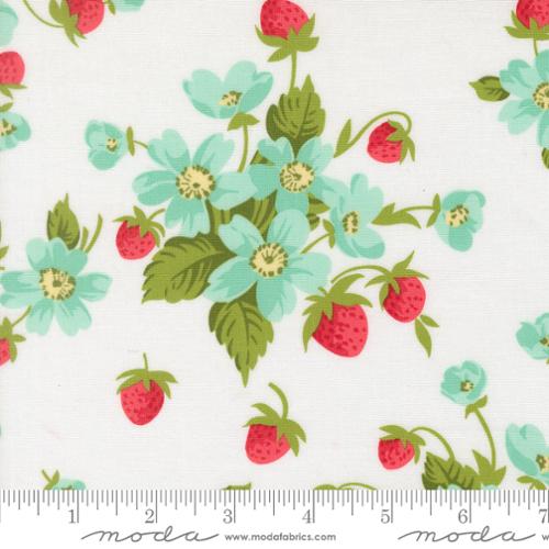 Bloomsberry - White