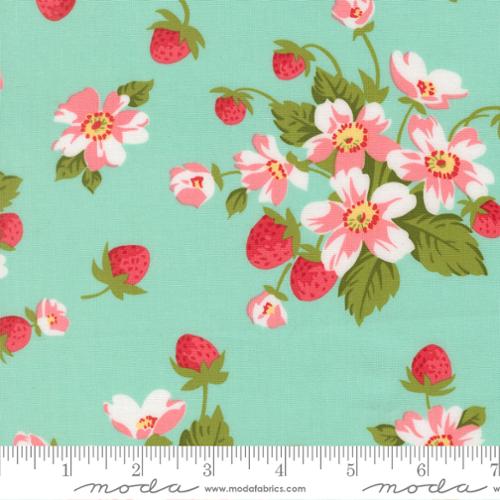 Bloomsberry - Aqua