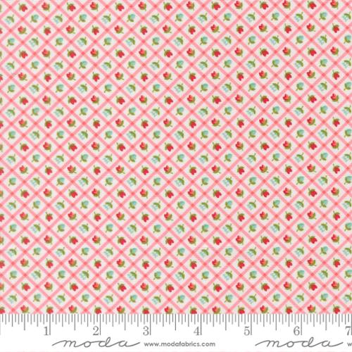 Bloomsberry - Blush