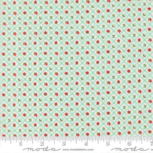 Bloomsberry - Aqua