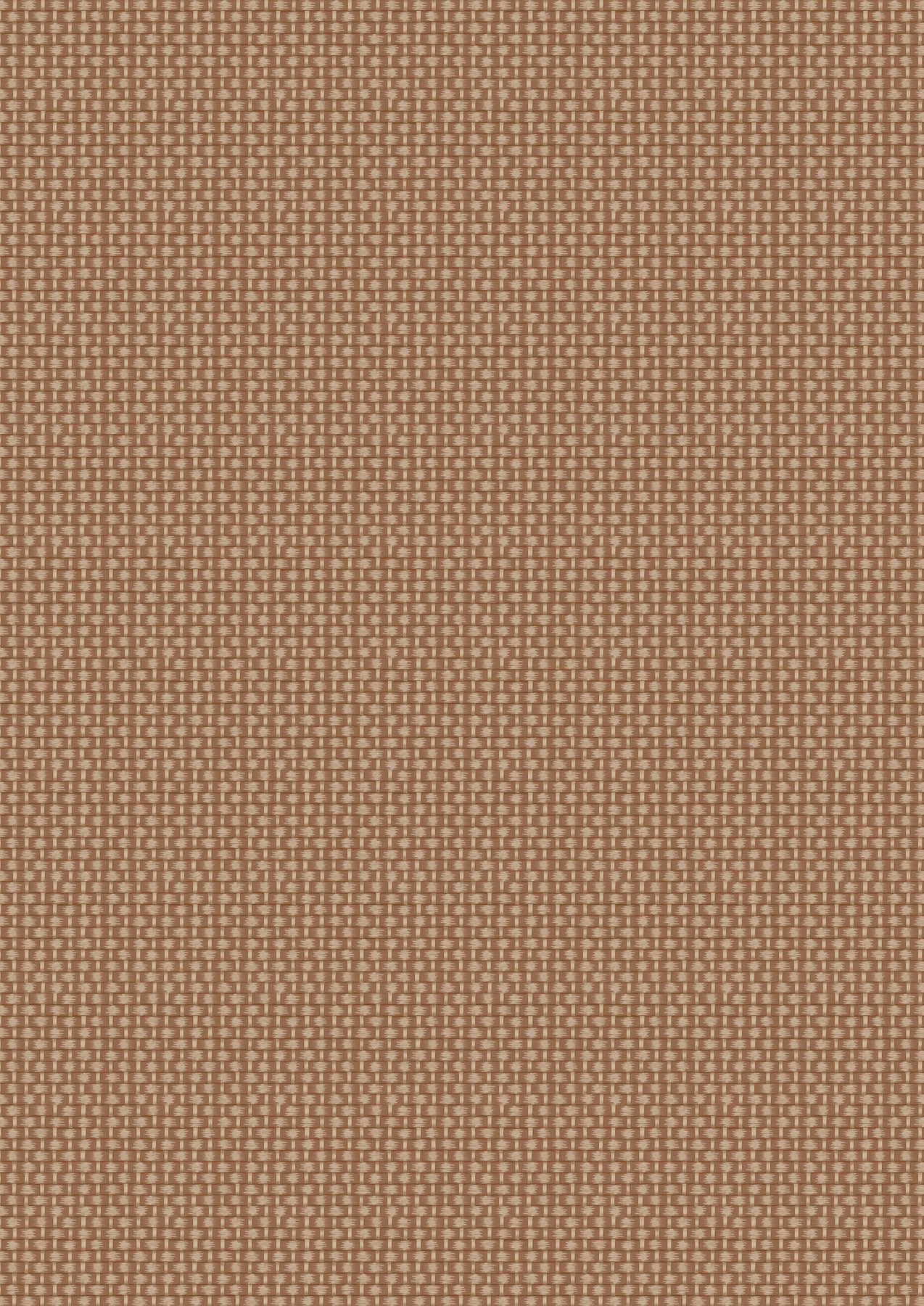 Teddy Bears Picnic - Brown Basket Weave