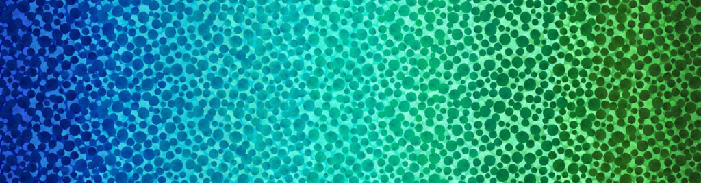 Bumbleberries - Ocean Ombre