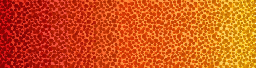 Bumbleberries - Flame Ombre
