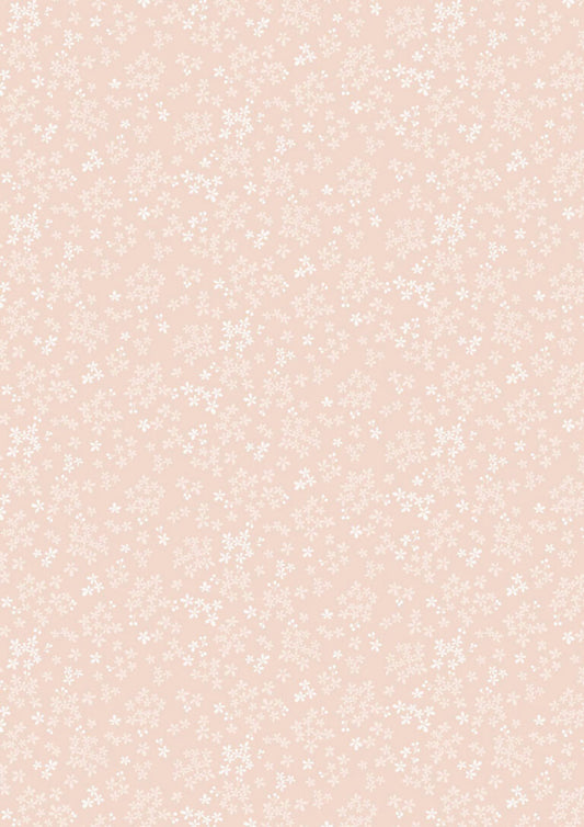 Wintersweet - Pale Peach