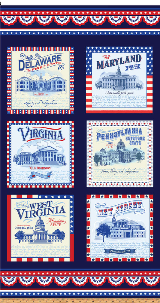 Patriotic Mid Atlantic Panel