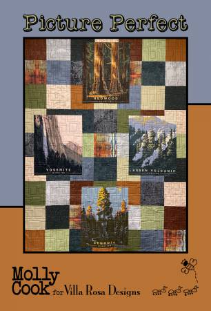 Picture Perfect Quilt Pattern by Villa Rosa Designs