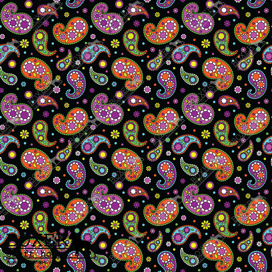 Paisley Flowers Rainbow Paisley