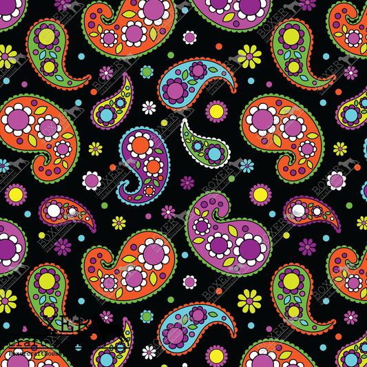 Paisley Flowers Rainbow Paisley LG