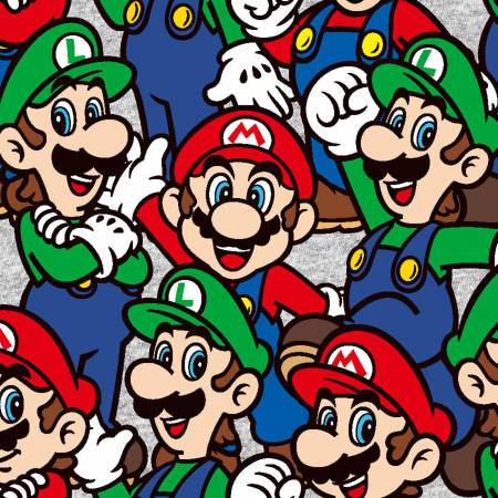 Nintendo Mario Luigi