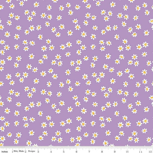 Sweet Picnic Daisy Field Lilac