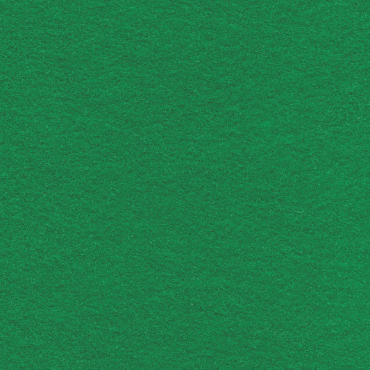 Pirate Green Eco-fi Felt 9x12 Sheet