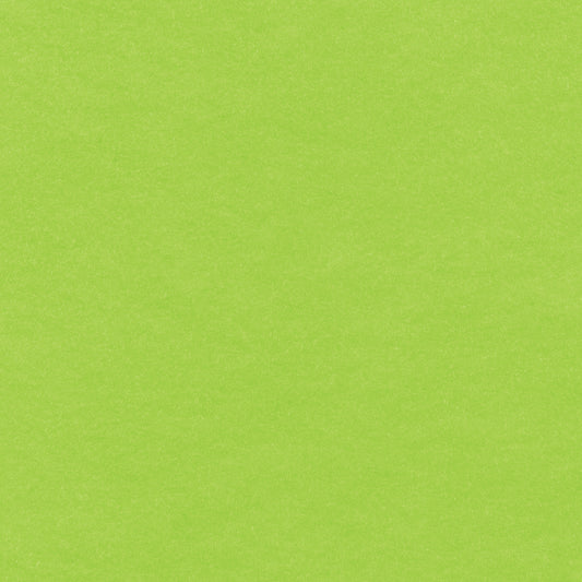 Neon Green Eco-fi Felt 9x12 Sheet