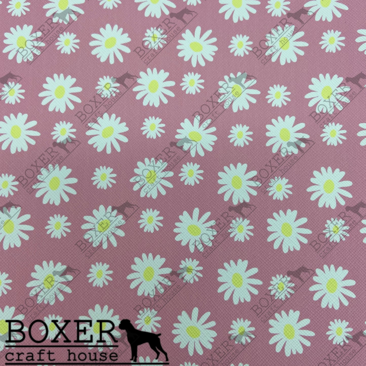 White Daisies Pink Background