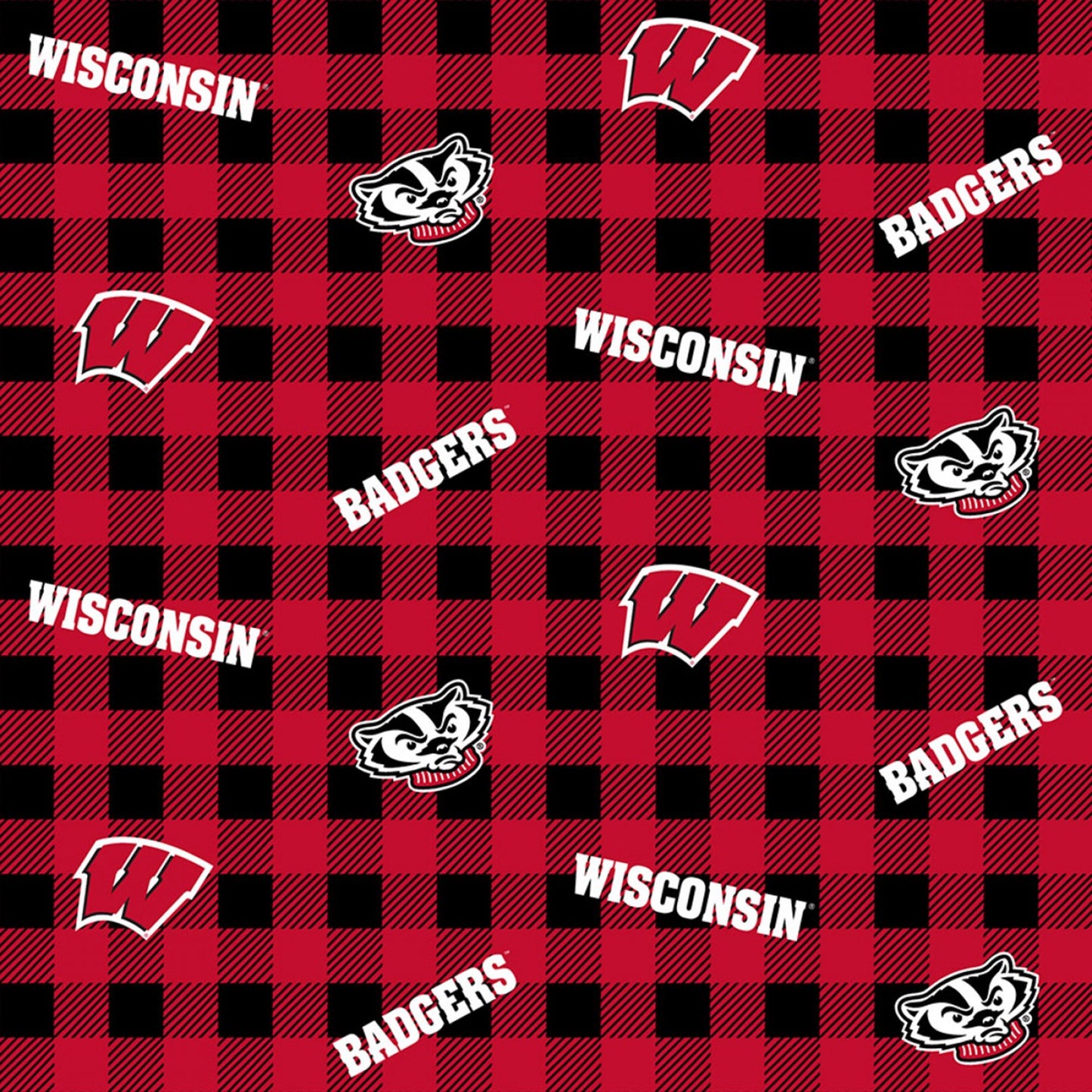 Wisconsin Badgers NCCA